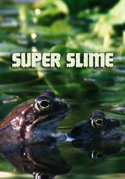 Super Slime