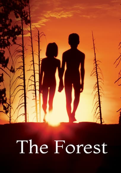 The Forest