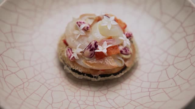 S15:E47 - Episode 47