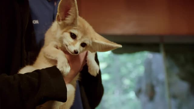 S01:E07 - Birds and the Bees