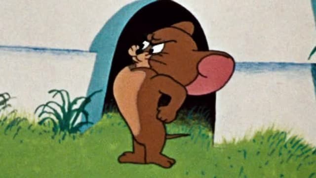 S08:E02 - Kitty Foiled / Landing Stripling / Little Quacker