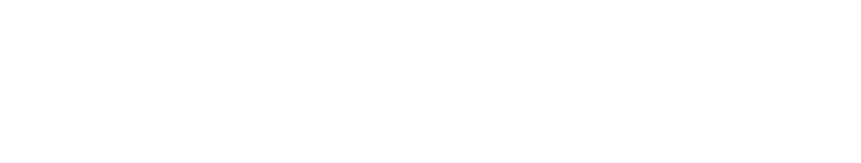 A Lego Brickumentary