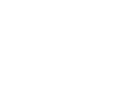 The Steps