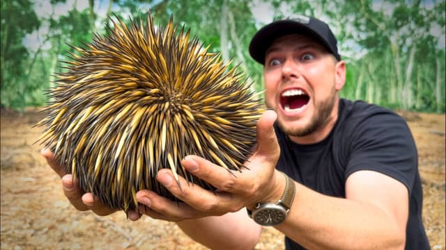 S01:E20 - Spikes & Snaps: Echidnas & Baby Crocs