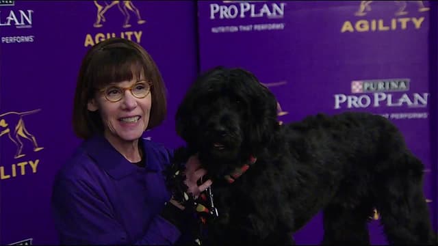 S2016:E01 - Agility: 2016