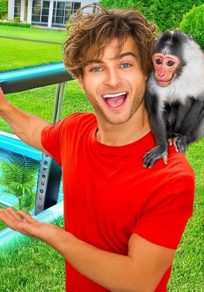 S01:E13 - Topper Guild Builds a Secret Zoo! poster