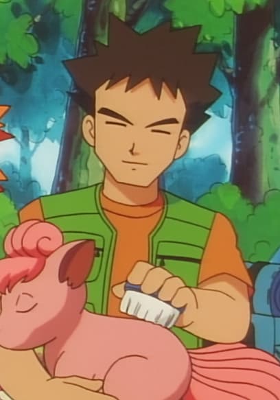 S01:E31 - The Ninja Poké-Showdown poster