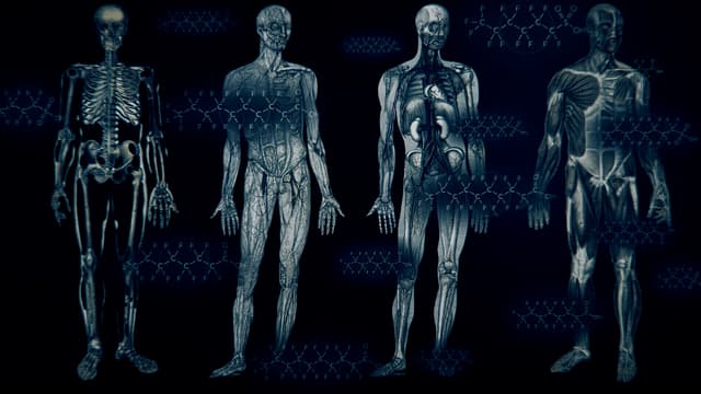 T02:C01 - S02:E01 - The Poison in Us All