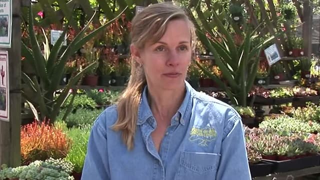 S01:E11 - Episode 21 & 22