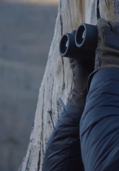 S01:E02 - Colorado Elk with MeatEater Producer Janis Putelis poster