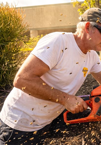 S01:E11 - Chainsaw Beekeeper: Unprotected poster