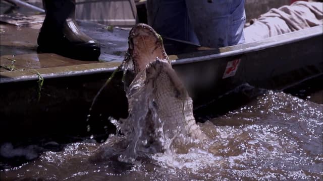 S05:E13 - Outer Limits