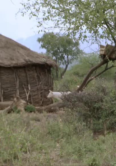 Affiche de S01:E01 - Pokot: Children of the Nile