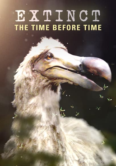 S01:E01 - Dodo