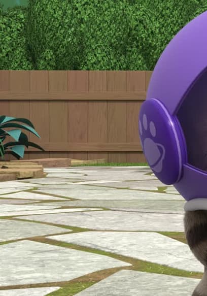 S01:E02 - Bye Bye Butterfly / Robot's Gotta Go poster