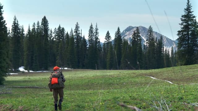 S06:E15 - Mountain Memories: Montana Black Bear