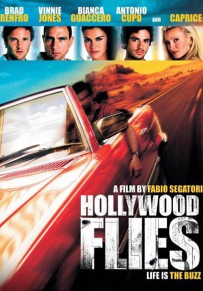 Hollywood Flies