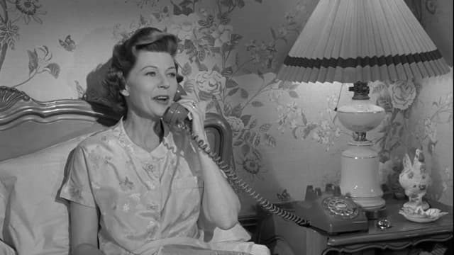 S09:E26 - The Little House Guest