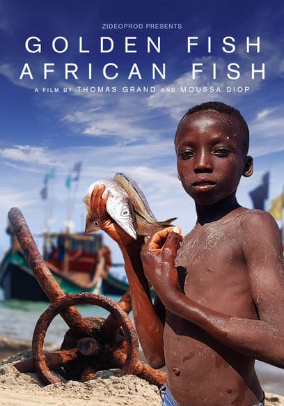 Golden Fish, African Fish (Subbed)