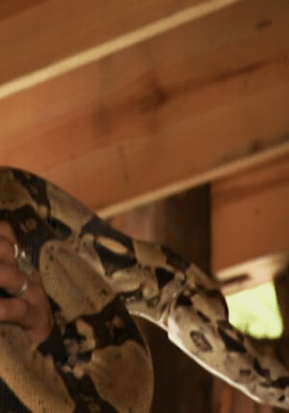 S01:E04 - Python poster
