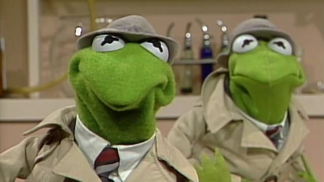 S16:E99 - Sesame Street Pet Show