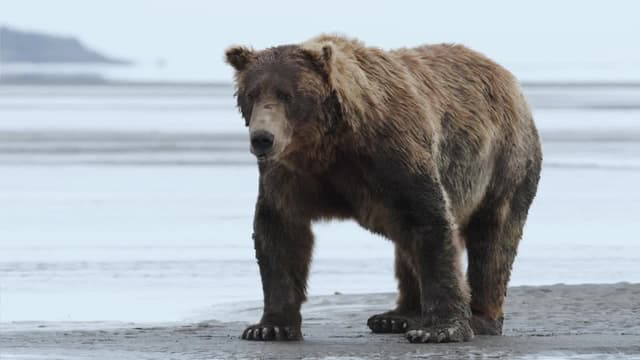 S01:E06 - Nada como el hogar