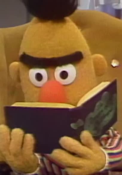 S14:E01 - Big Bird Goes to Camp Echo Rock poster