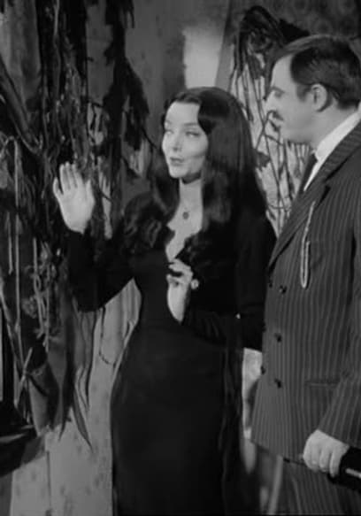 S02:E23 - Morticia, the Decorator poster