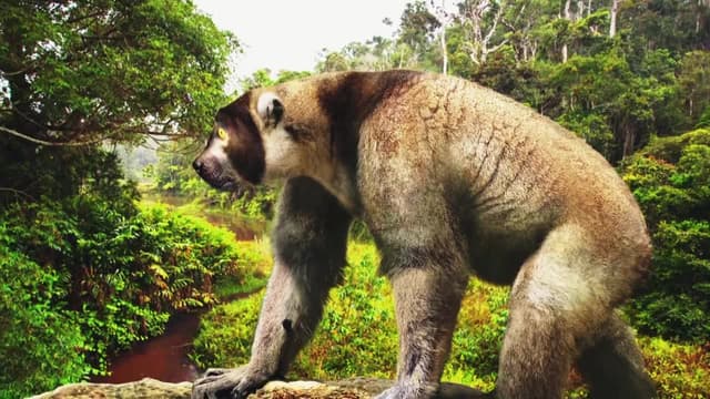 S01:E02 - The Madagascar Giant