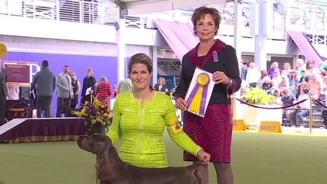 S2024:E03 - Best of Breeds Day 2