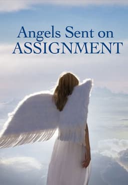 Angels Sent on Assignment (DVD, 2006, 2-Disc Set