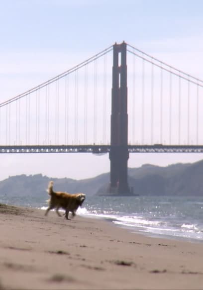 S01:E11 - San Francisco poster