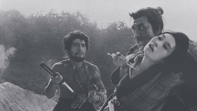 Watch Samurai Wolf II: Hell Cut (1967) - Free Movies | Tubi