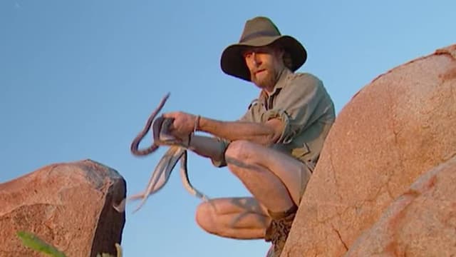 S02:E02 - The Pilbara Cobra