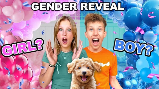 S01:E19 - Puppy Gender Reveal!