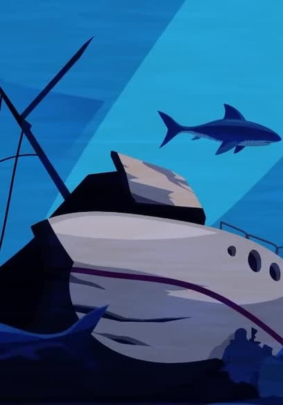 Affiche de S01:E08 - Nine Ships Disappeared in Perfect Weather / Creepy Things Found Underwater