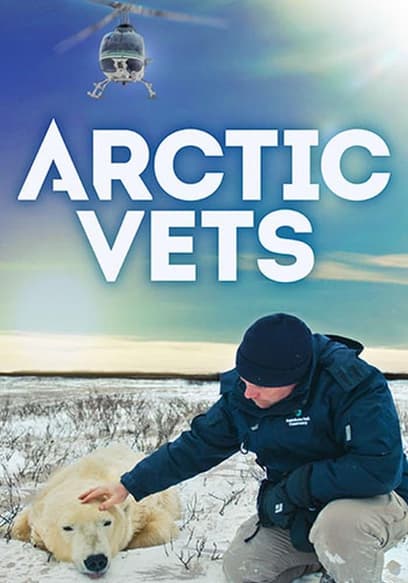 S01:E01 - Polar Bear Heli-Rescue