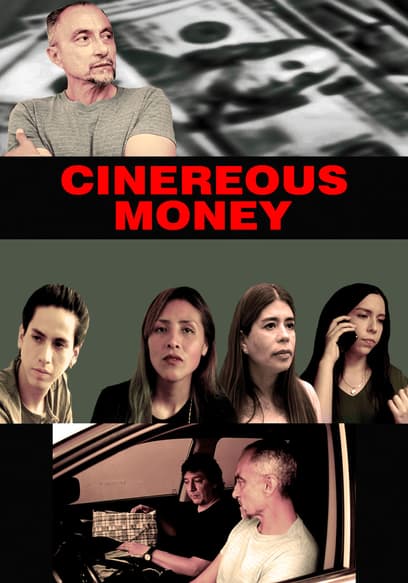 Cinereous Money