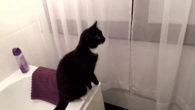 S01:E07 - 12 Angry Birds