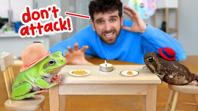 S01:E13 - Frogs Mismatch