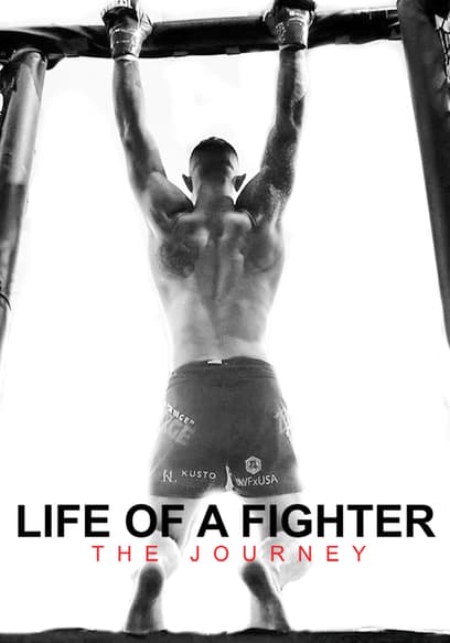Life of a Fighter: The Journey poster