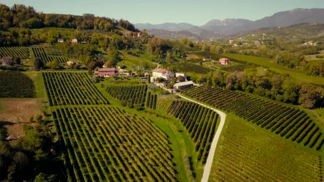 S01:E15 - Conegliano