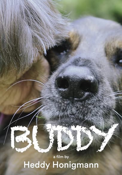 Buddy