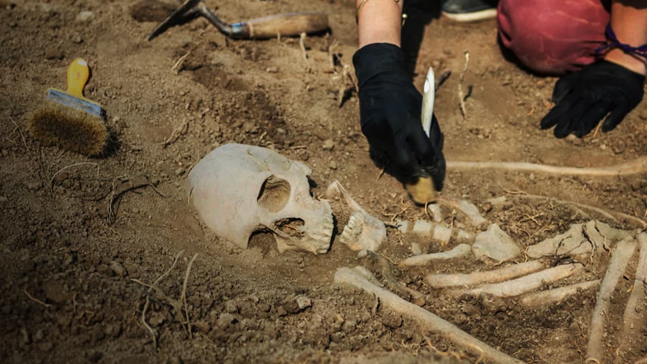Watch Archaeology