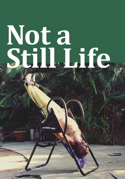 Not a Still Life poster