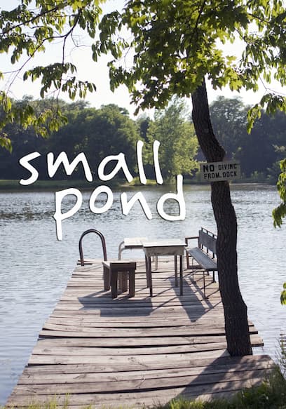 Small Pond