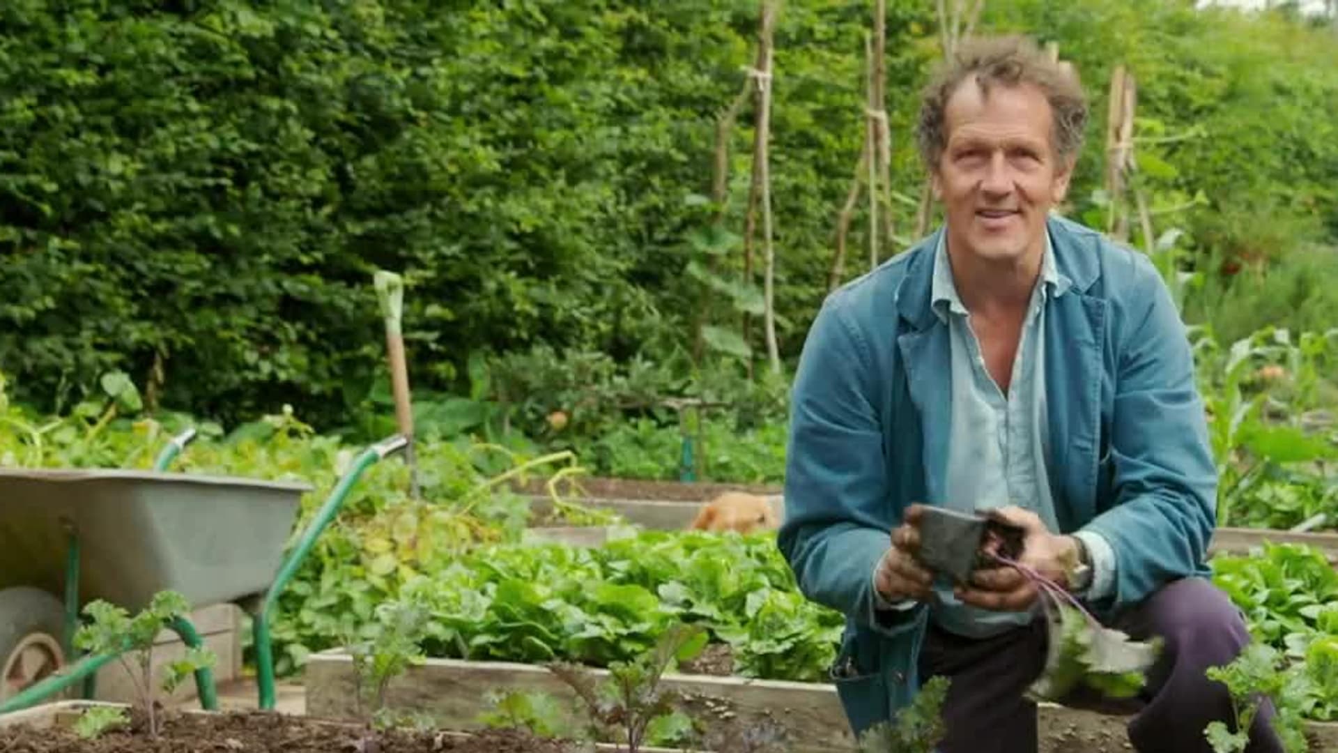 Watch Gardeners World Free TV Shows Tubi