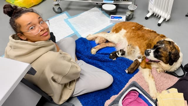 S01:E01 - A Pregnant Rescue Dog Became Our Biggest Nightmare