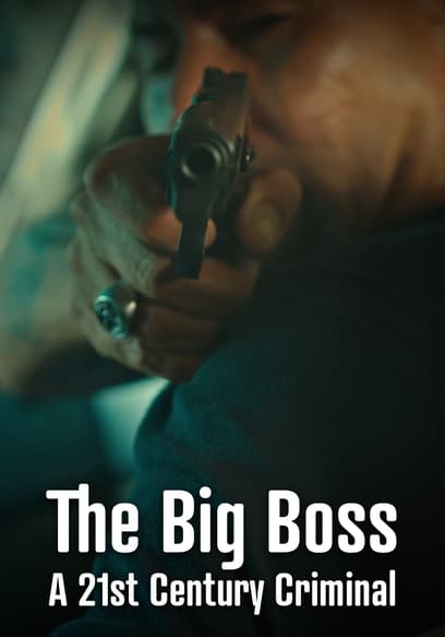 Affiche de The Big Boss: A 21st Century Criminal