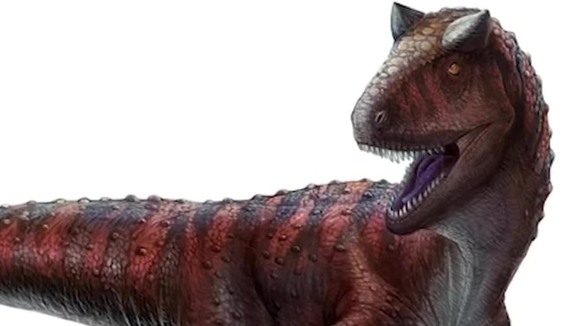 Watch Dinosaur Discovery Season 4 Free Tv Shows Tubi